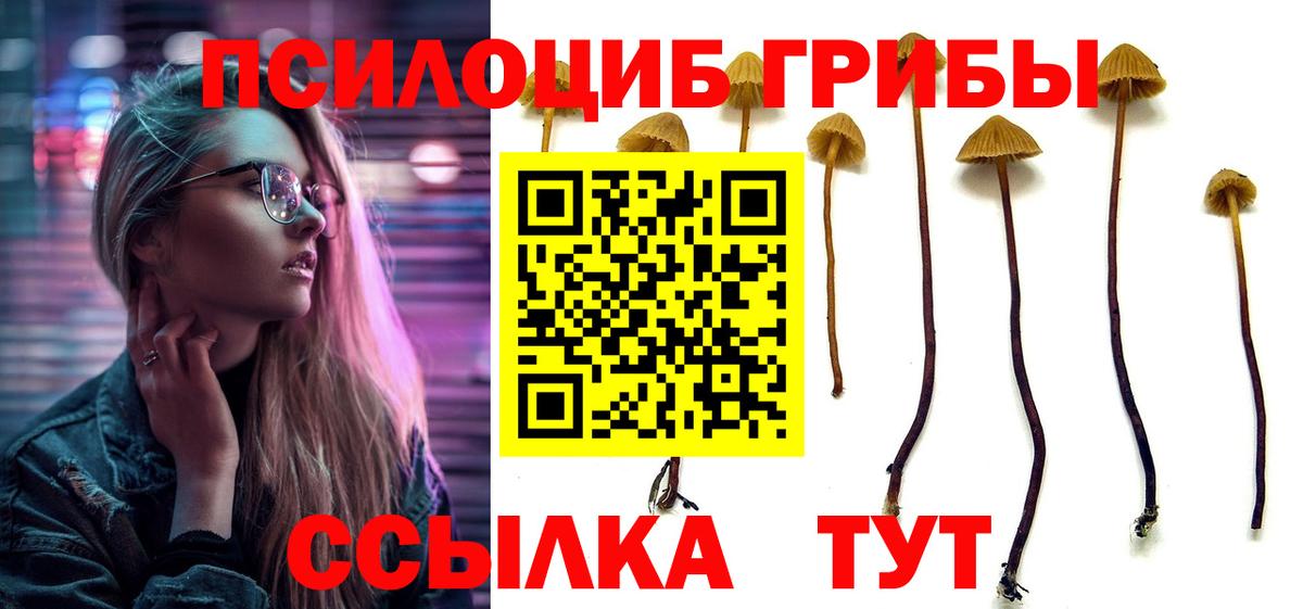 Псилоцибиновые грибы мухоморы Волжский