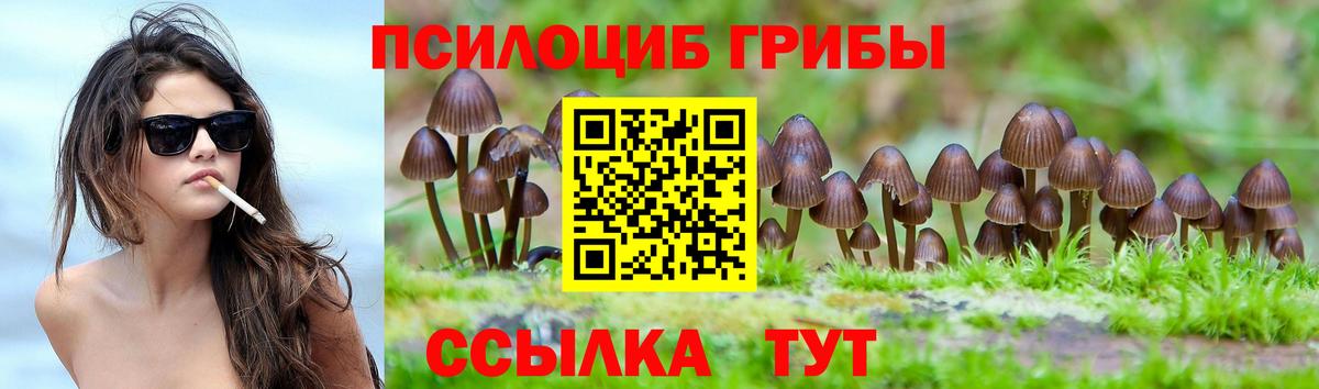 Волжский  Псилоцибиновые грибы мухоморы  Псилоцибиновые грибы прущие грибы  Вход с VPN 